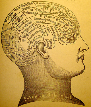 Mind. Wikimedia Commons
